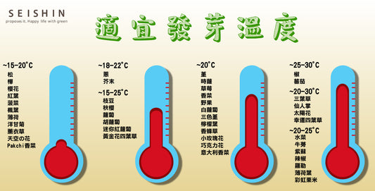 種植指引│手把手教你種出專屬於你的微型花園