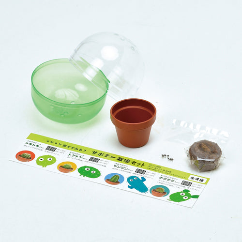 Random gashapon small potted plant series-pepper