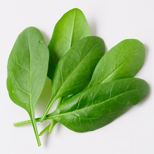 沙拉菠菜 salad spinach