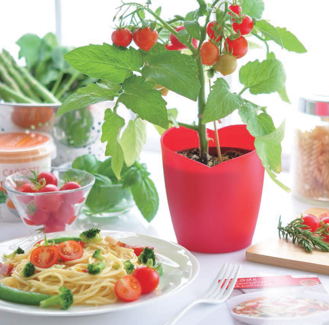 Heart-shaped tomato potted plant Heartomato Set