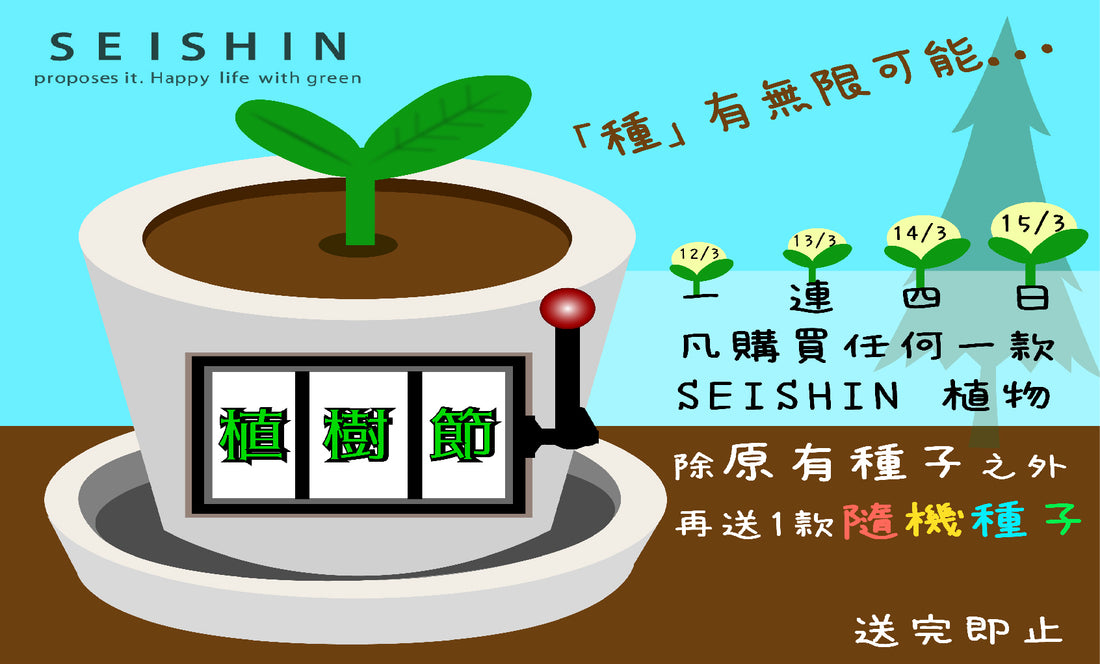 SEISHIN - 種有無限可能🌳【3.12植樹節】