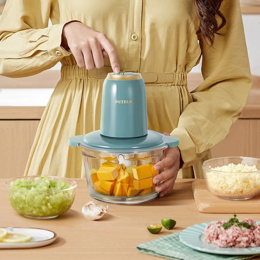 Multifunctional mixing household small meat grinder PE1320