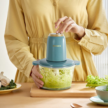 Multifunctional mixing household small meat grinder PE1320