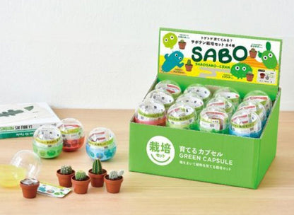 Random gashapon small potted plant series-pepper