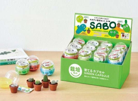 Random gashapon small potted plant series-pepper