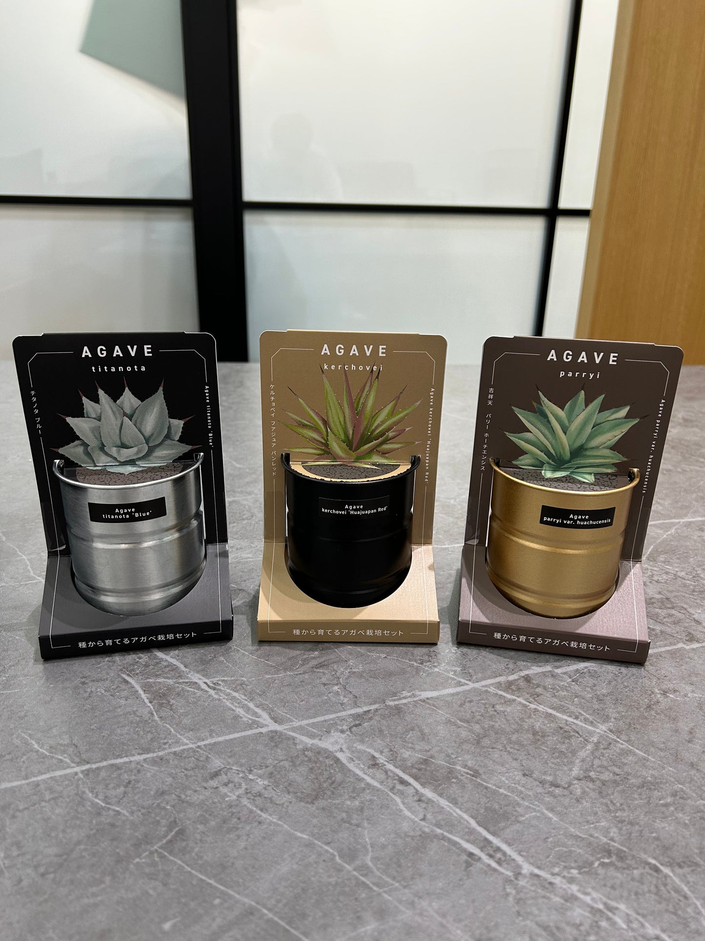 Industrial style home small potted plants 