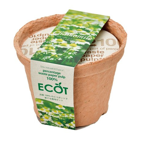 Recycled paper small flowerpot ECOT small
