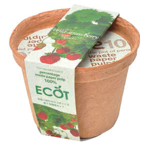 Recycled paper small flowerpot ECOT small