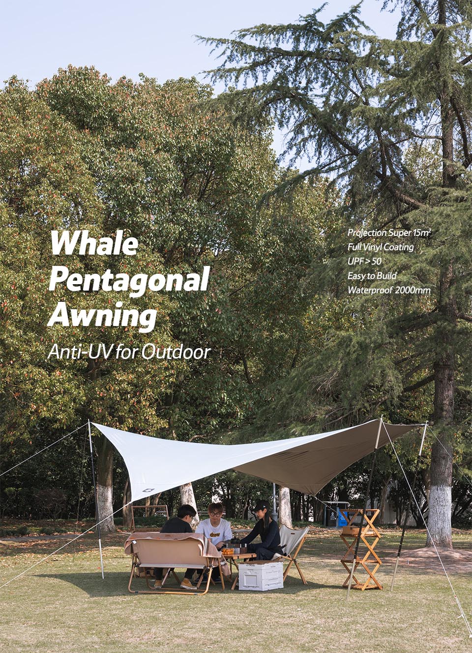 Five-square awning (excluding poles) - Green