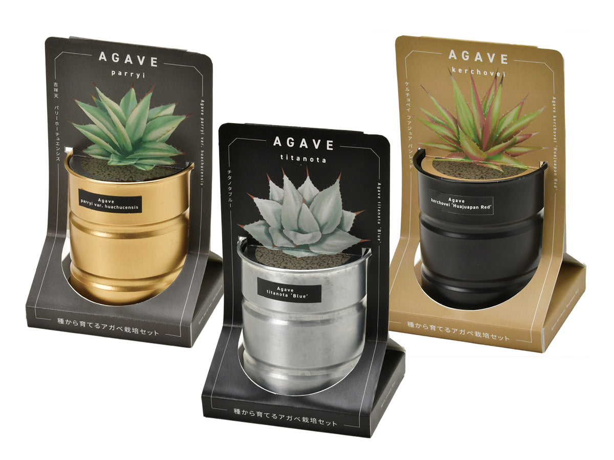 Industrial style home small potted plants 