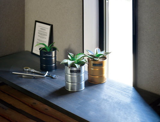 Industrial style home small potted plants 