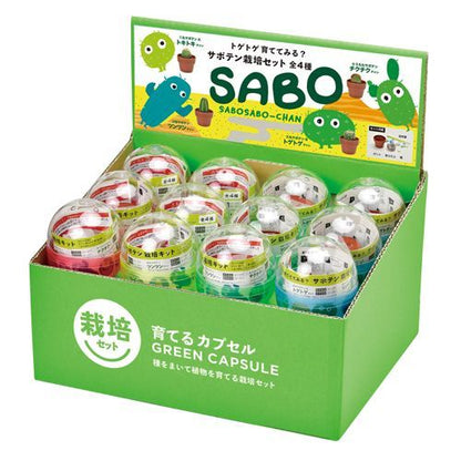 Random gashapon small potted plant series-pepper