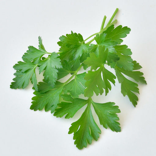 義大利香芹