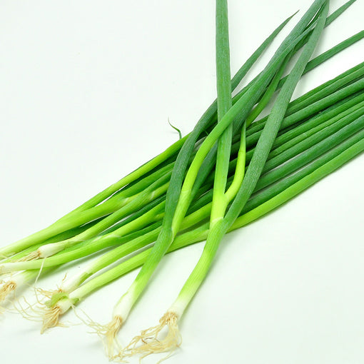 蔥 green onion
