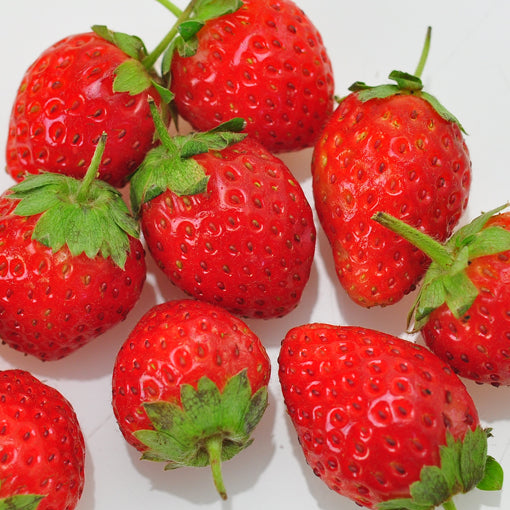 四季草莓（Everbearing Strawberry）