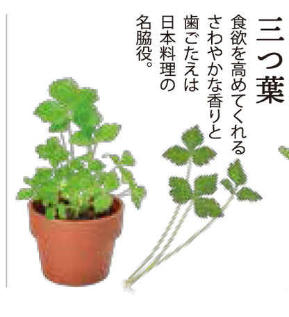 Random gashapon small potted plant series - Japanese spices