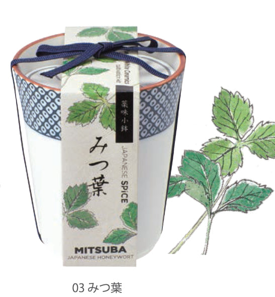 Japanese tea cup herbal ingredients potted plant - clover / tangerine / perilla leaf