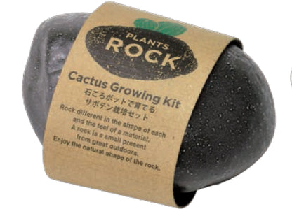 植物岩仙人掌 Plants Rock Cactus -  Black