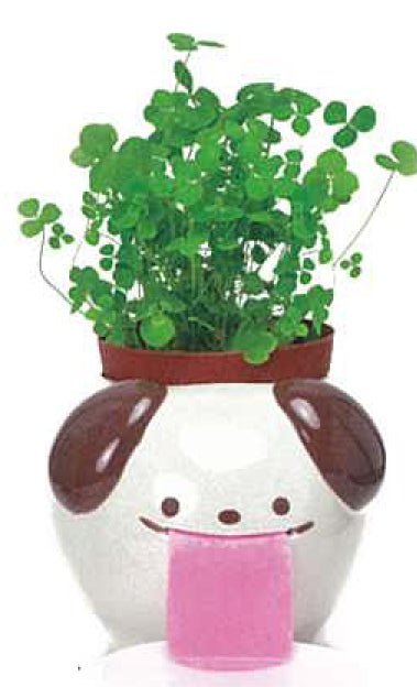 Peroppon PAPA automatic water-absorbing potted plant-basil/wild strawberry/clover