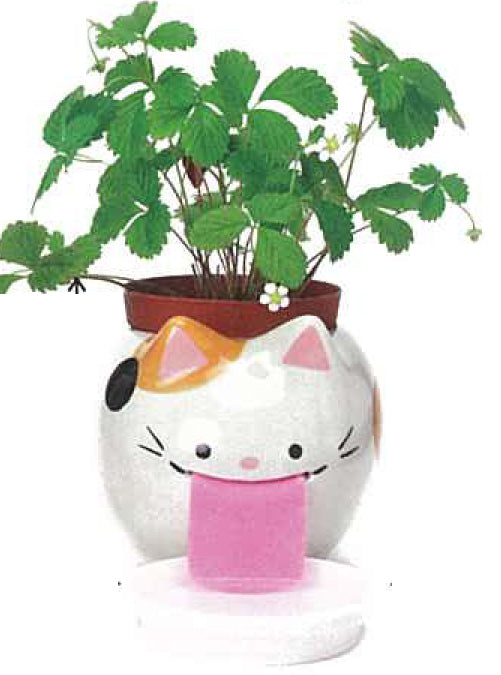 Peroppon PAPA automatic water-absorbing potted plant-basil/wild strawberry/clover