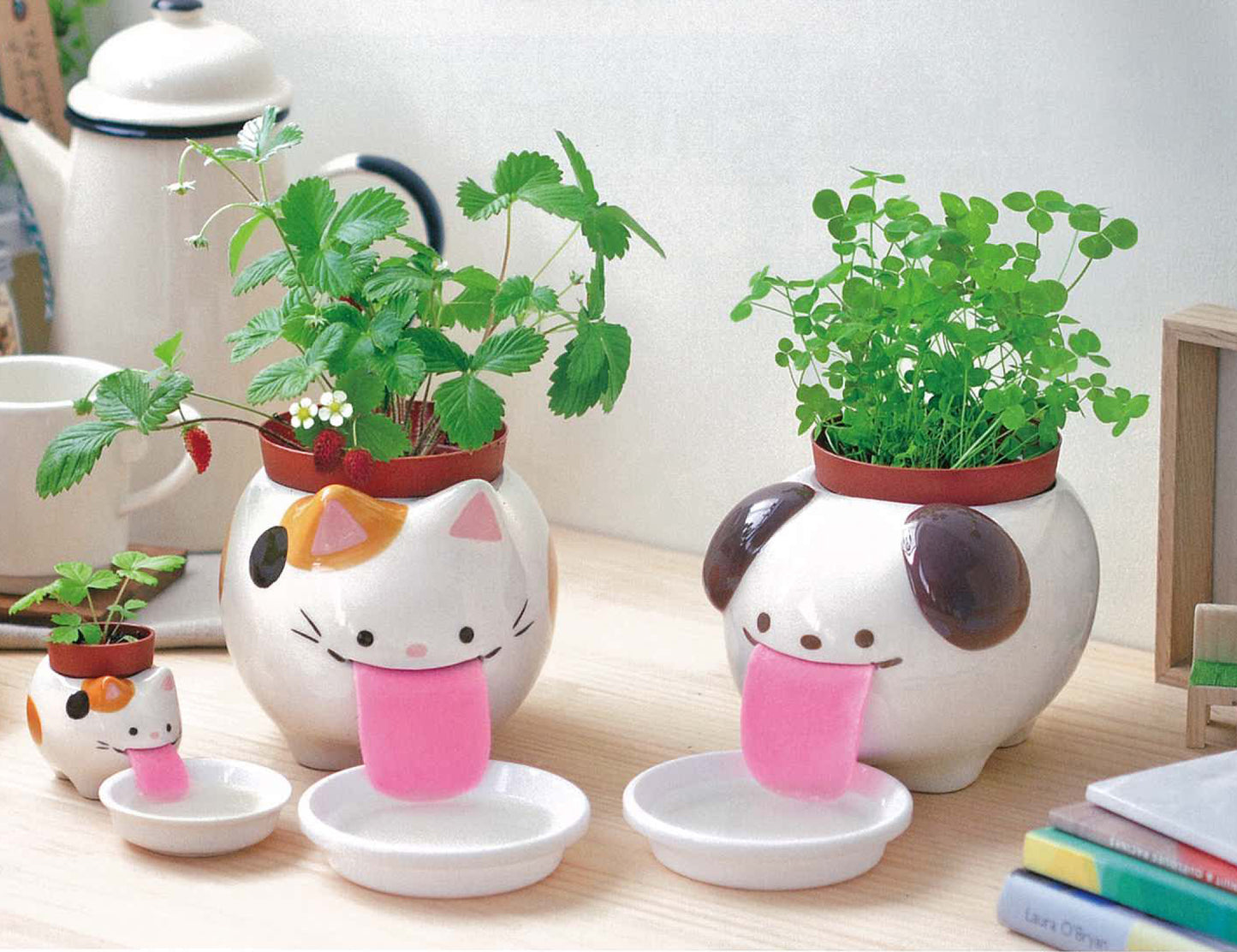 Peroppon PAPA automatic water-absorbing potted plant-basil/wild strawberry/clover