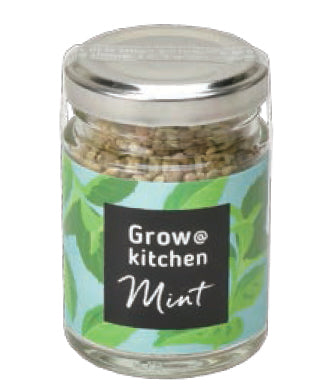 KitchenOtaru potted plants-basil/wildberry/mint/pepper