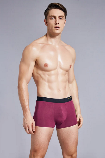 micromodal seamless men's underwear (S-XXL)│Breathable and close-fitting‧Skin-friendly‧Natural materials‧Soft‧Moisture wicking