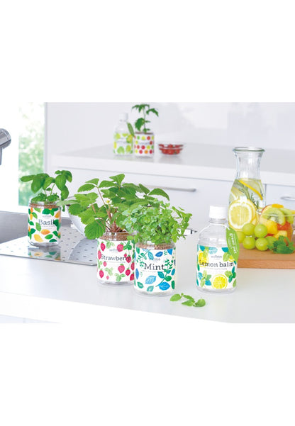 Automatic water-absorbing Green Pet small potted plant‧Imported from Japan 