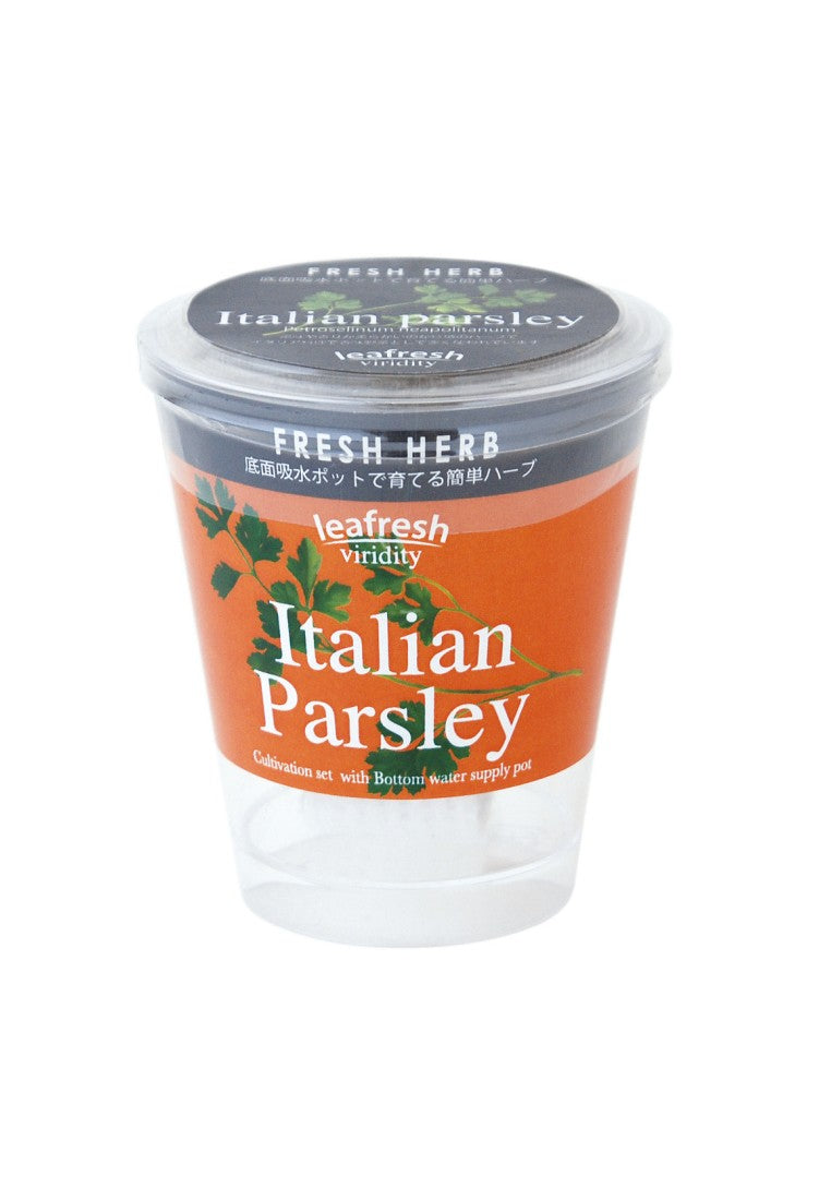 Fresh Herb, a small potted plant that automatically absorbs water - Italian coriander/mint/basil