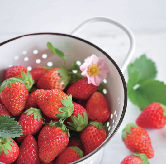Strawberry Bloom pink flowers