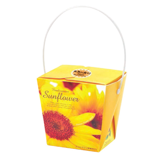 Floral Container Smile Sunflower