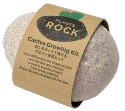 Plants Rock Cactus - Black