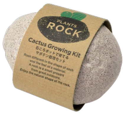 Plants Rock Cactus - Black