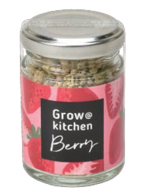 KitchenOtaru potted plants-basil/wildberry/mint/pepper
