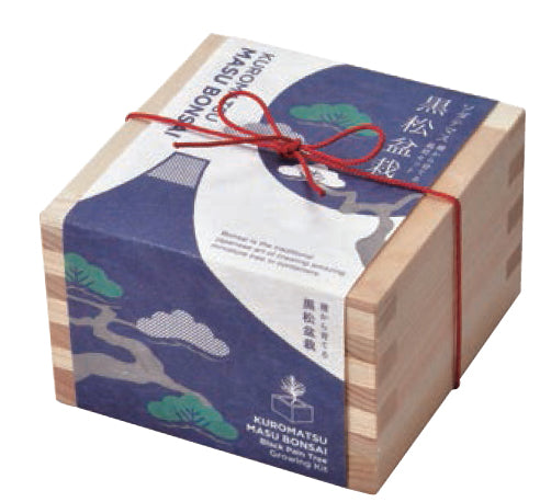 Small wooden basin series-black pine/red leaves 