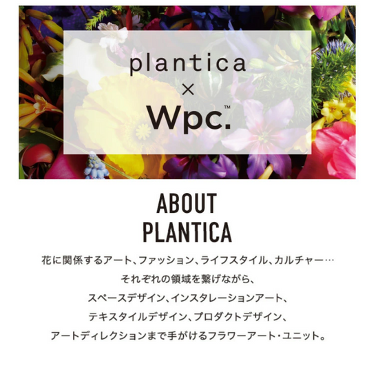 PLANTICA flower print shrunk umbrella-black