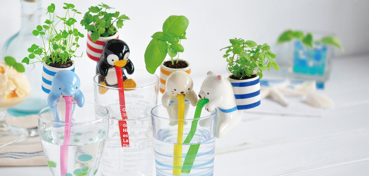 Chuppon cute animal automatic water-absorbing small potted plant - basil/mint leaves/four-leaf clover
