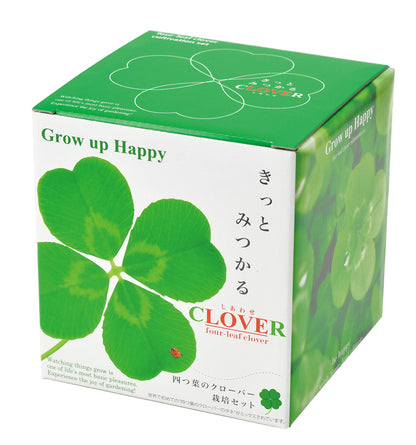 四葉草盆栽 Four-Leaf Clover