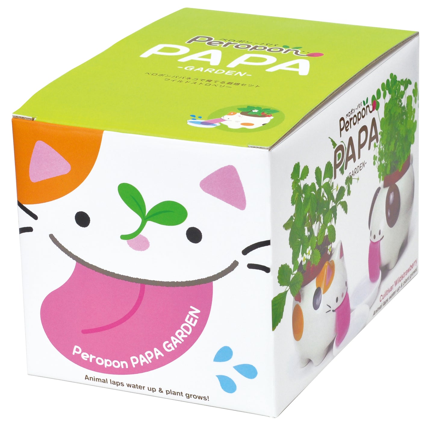 Peroppon PAPA automatic water-absorbing potted plant-basil/wild strawberry/clover