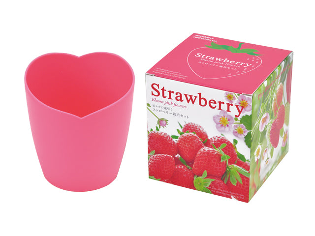 Strawberry Bloom pink flowers
