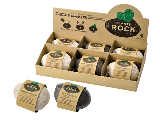 Plants Rock Cactus - Black