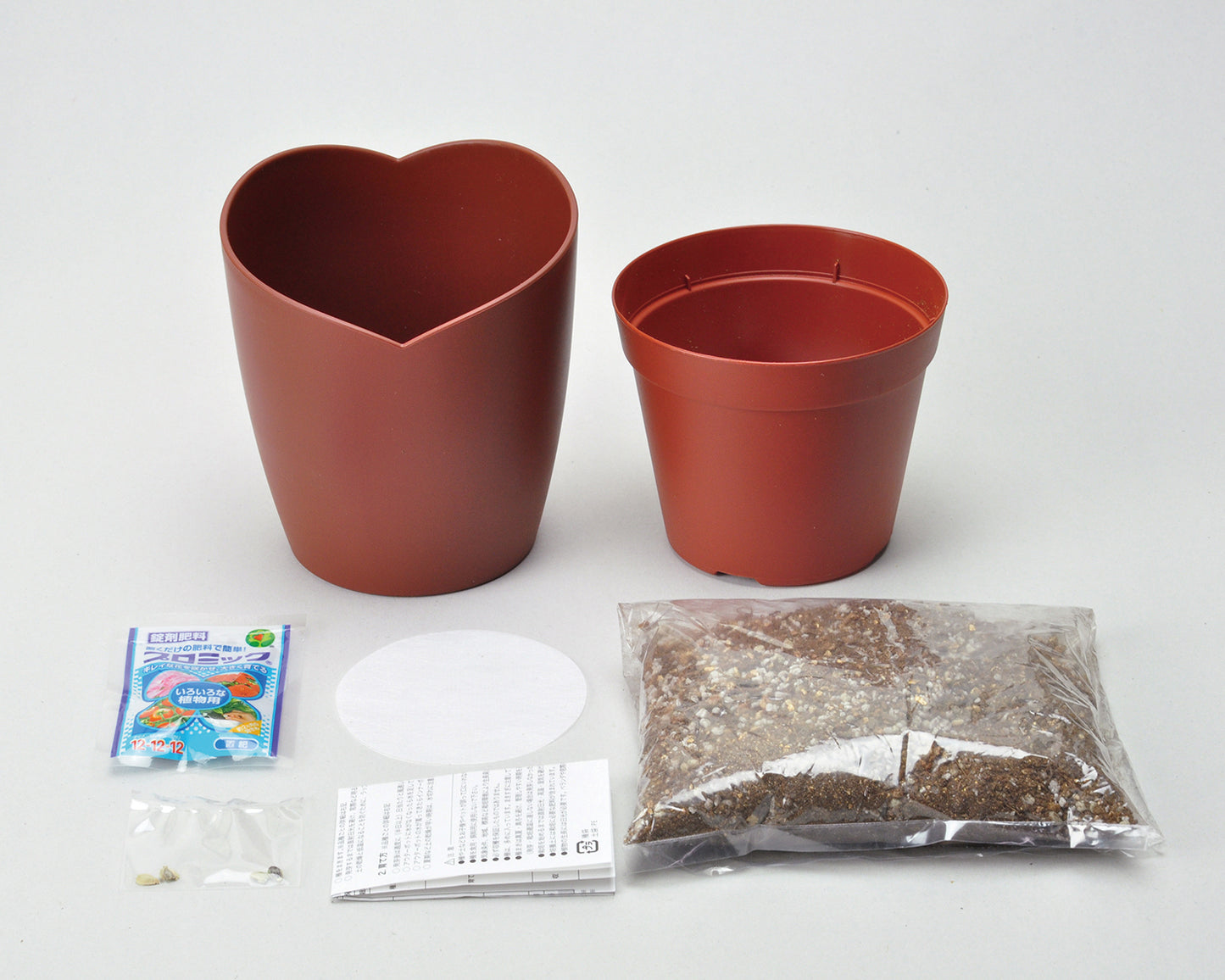 Chocolate Flower Potted Plant Chocolate Flower