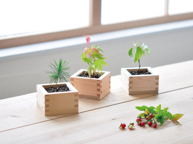 Small wooden basin series-black pine/red leaves 