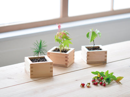 Small wooden basin series-black pine/red leaves 