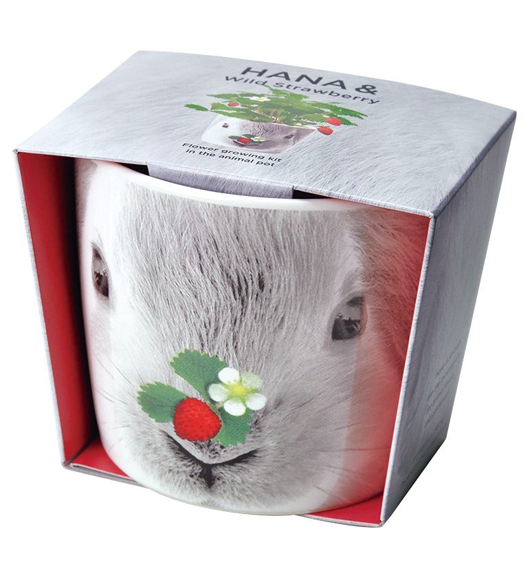 Animal ceramic cup series - four-leaf clover/little rose/violet/wild strawberry 