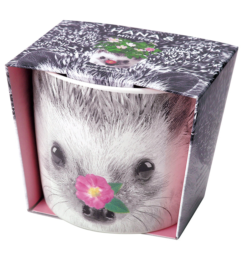 Animal ceramic cup series - four-leaf clover/little rose/violet/wild strawberry 