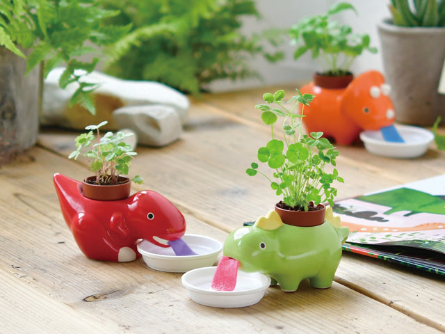 Lick the big tongue‧Automatically absorb water‧Dinosaur small potted plant