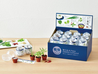 Random gashapon small potted plant series - Japanese spices