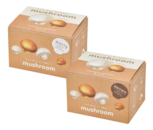 Small pot for growing mushrooms at home‧Imported from Japan‧Gardening‧Home‧Decoration