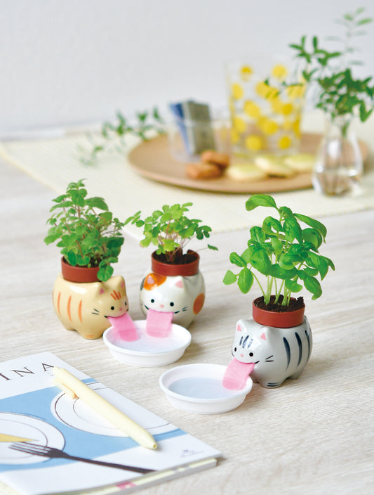 Peropon absorbent cat series
